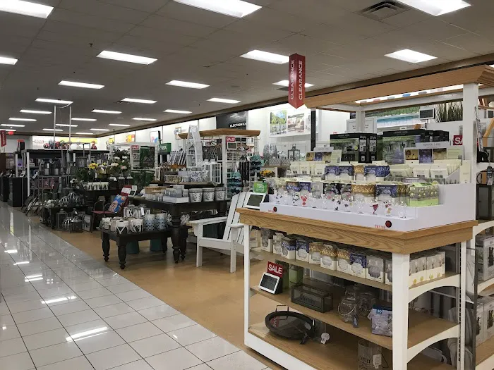Kohl's 9