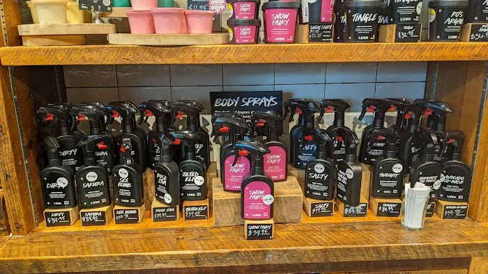 Lush Cosmetics St. Johns Town Center 8