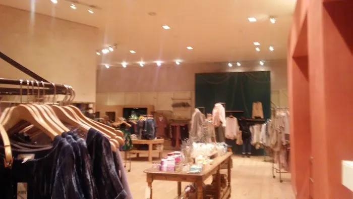 Anthropologie 3