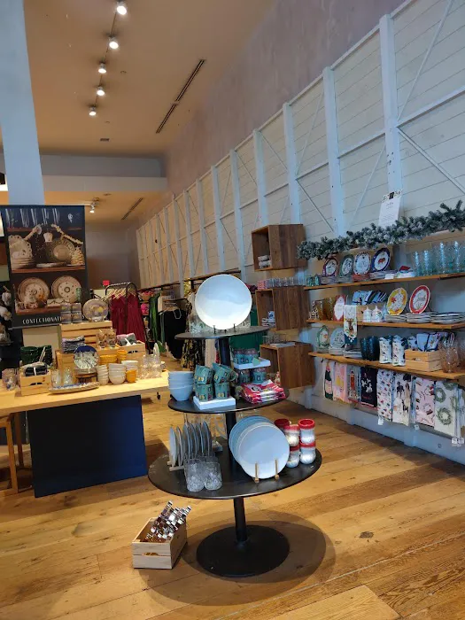 Anthropologie 5