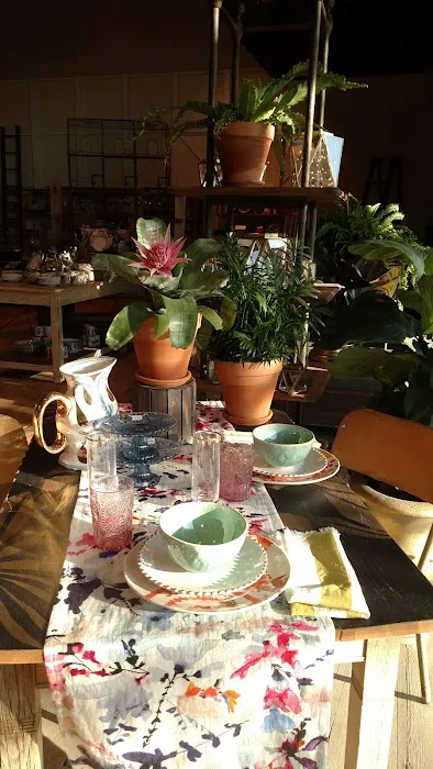 Anthropologie 1