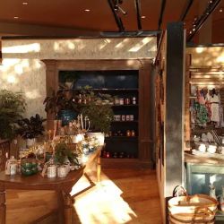 Anthropologie ico