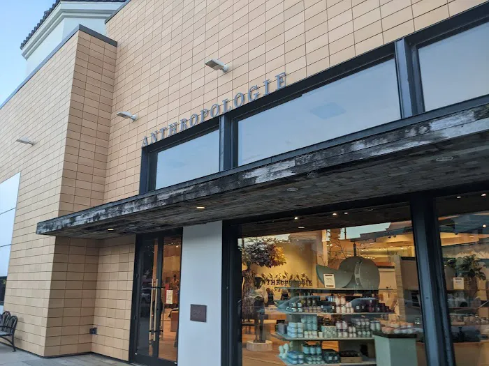 Anthropologie 2