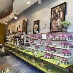 Jones and Rose | Natural Body and Skin Care Products ico