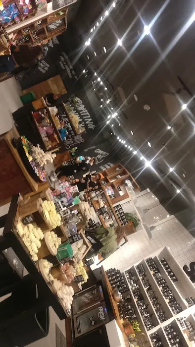 Lush Cosmetics International Plaza 9