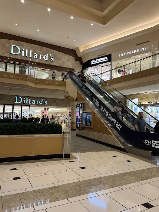 Dillard's 7