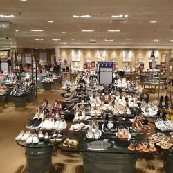 Dillard's ico