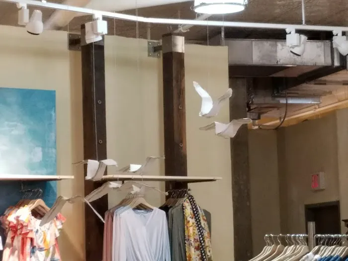 Anthropologie 7