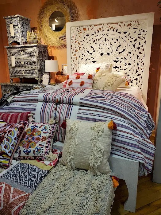 Anthropologie 1
