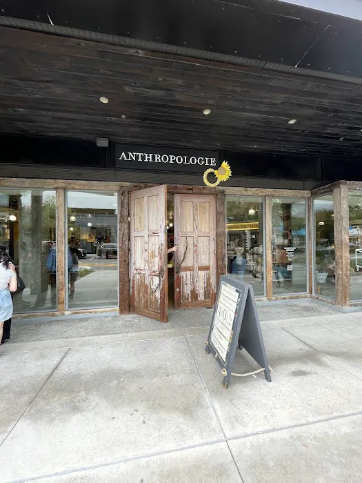 Anthropologie 4