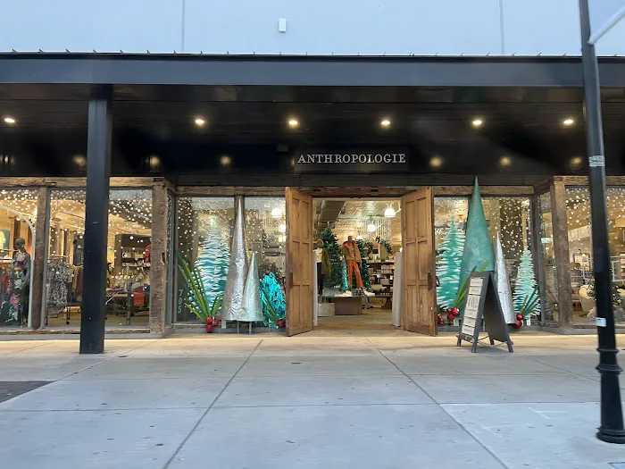 Anthropologie 2
