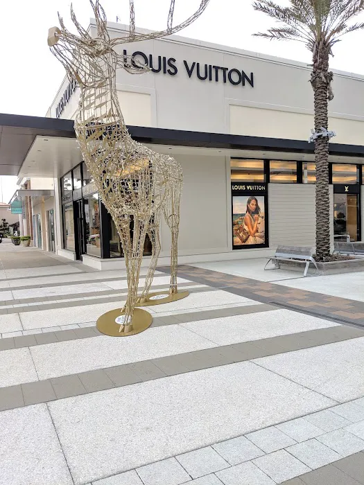 Louis Vuitton Jacksonville 9
