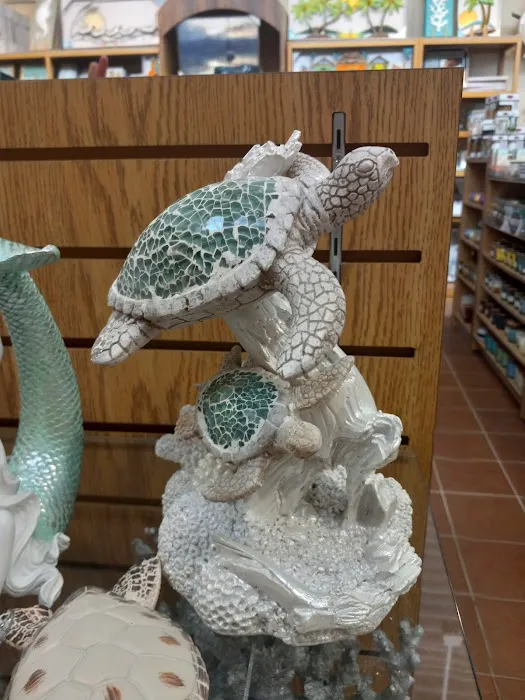 Bealls Florida 2