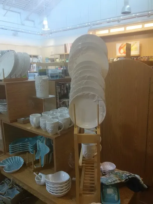 Bealls Florida 7