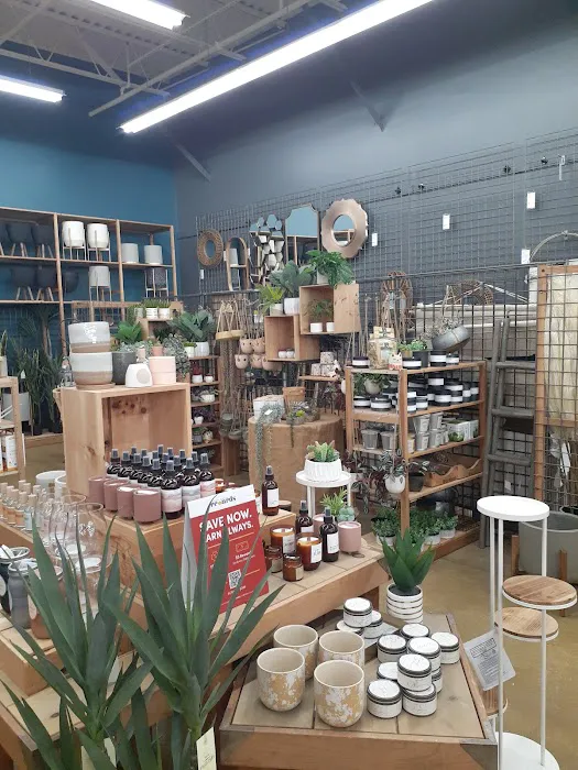 World Market 8