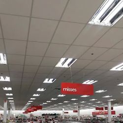 bealls ico