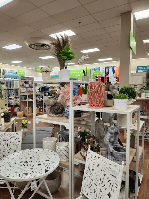 bealls 8