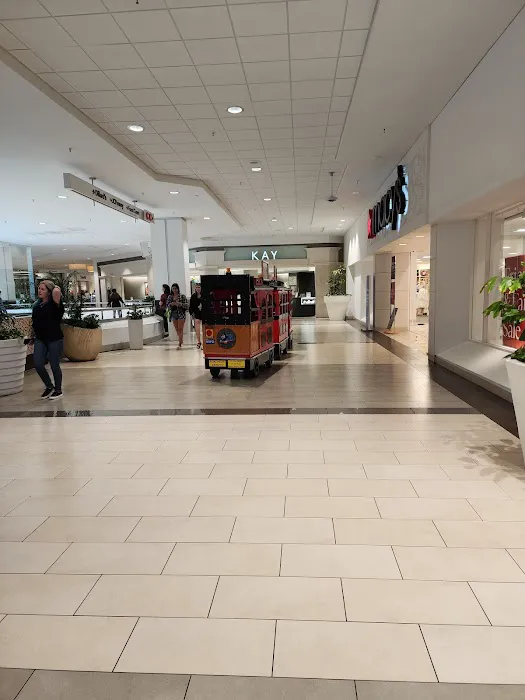 Dillard's 6