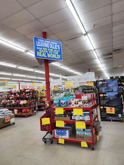 Ollie's Bargain Outlet 5