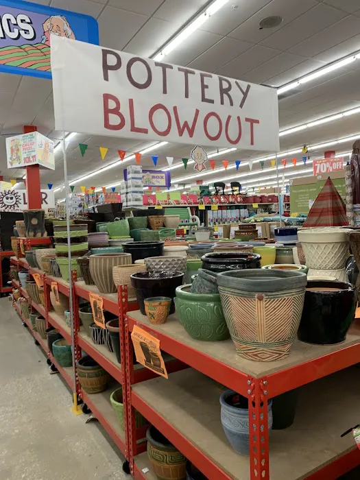 Ollie's Bargain Outlet 1