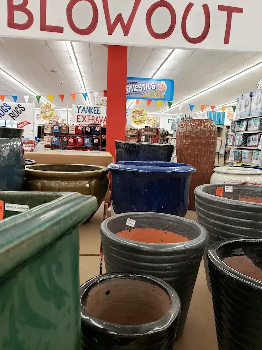 Ollie's Bargain Outlet 9