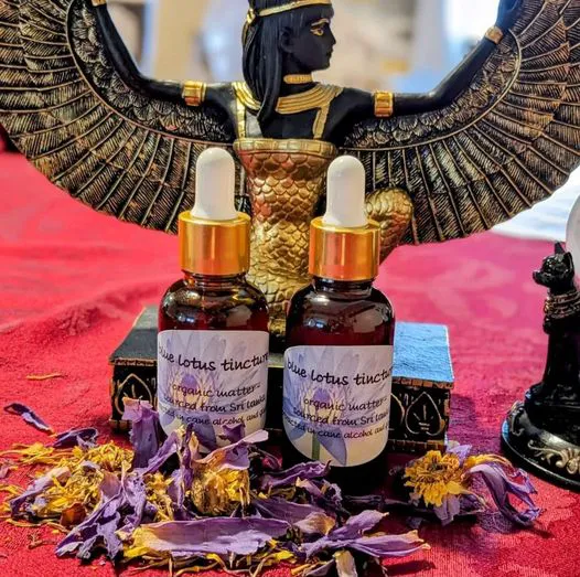 13 Moons Alchemy 