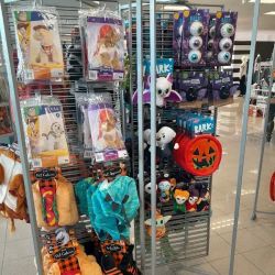 Kohl's ico