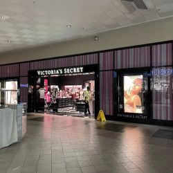 Victoria's Secret & PINK by Victoria's Secret ico