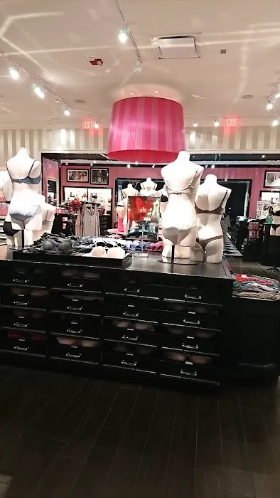 Victoria's Secret & PINK by Victoria's Secret 8