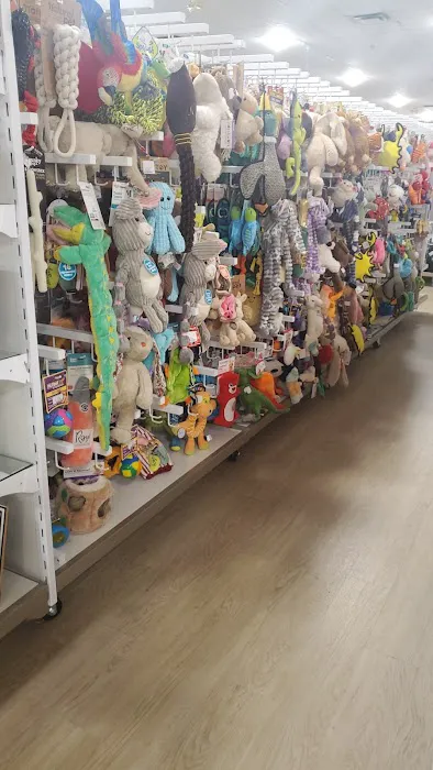 HomeGoods 2