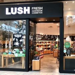 Lush Cosmetics UTC Sarasota ico