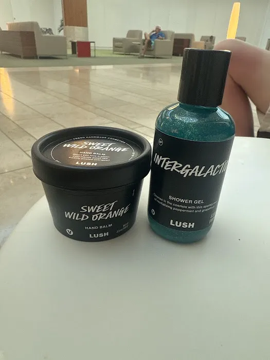 Lush Cosmetics UTC Sarasota 6