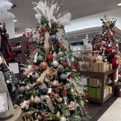 Dillard's ico
