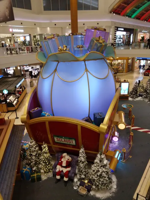 Dillard's 8