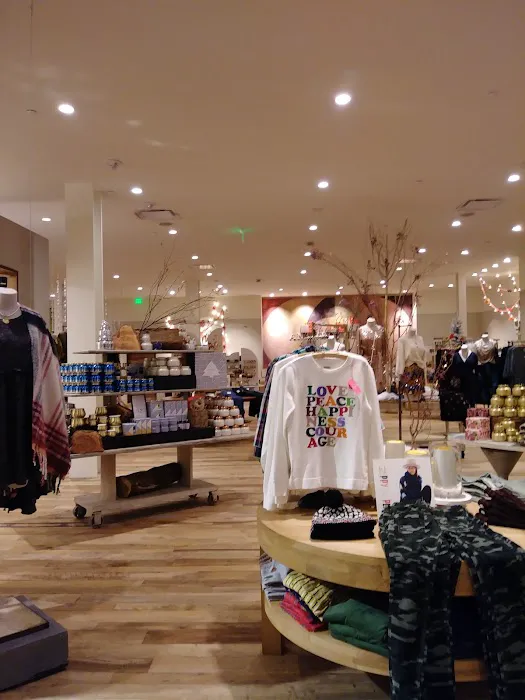 Anthropologie 5