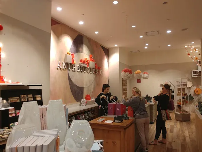 Anthropologie 2