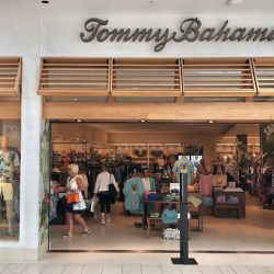 Tommy Bahama ico