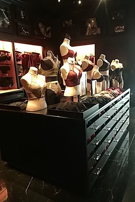 Victoria's Secret & PINK by Victoria's Secret 4