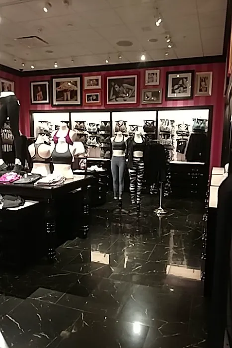 Victoria's Secret & PINK by Victoria's Secret 9