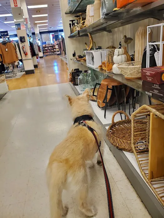 HomeGoods 5