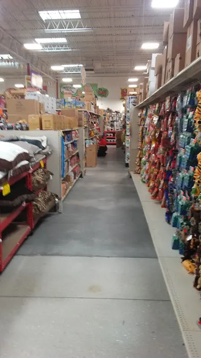 Ollie's Bargain Outlet 1