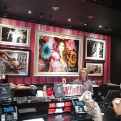 Victoria's Secret & PINK by Victoria's Secret ico