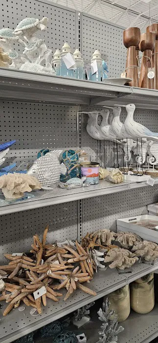 Bealls Florida 0