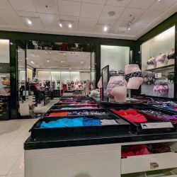 Victoria's Secret & PINK by Victoria's Secret ico