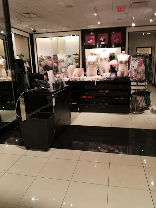 Victoria's Secret & PINK by Victoria's Secret 7