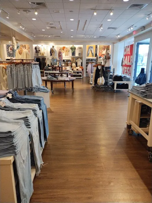 American Eagle 8