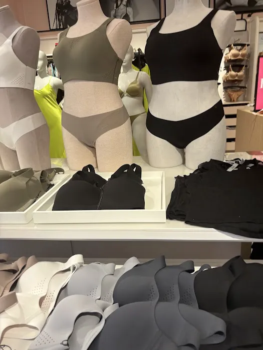 Victoria's Secret & PINK by Victoria's Secret 2