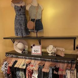 francesca's ico