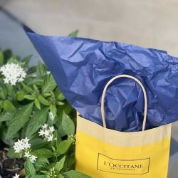 L'OCCITANE EN PROVENCE ico