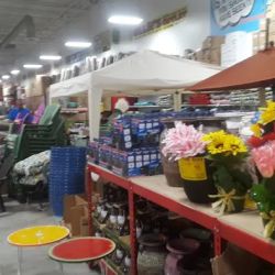 Ollie's Bargain Outlet ico